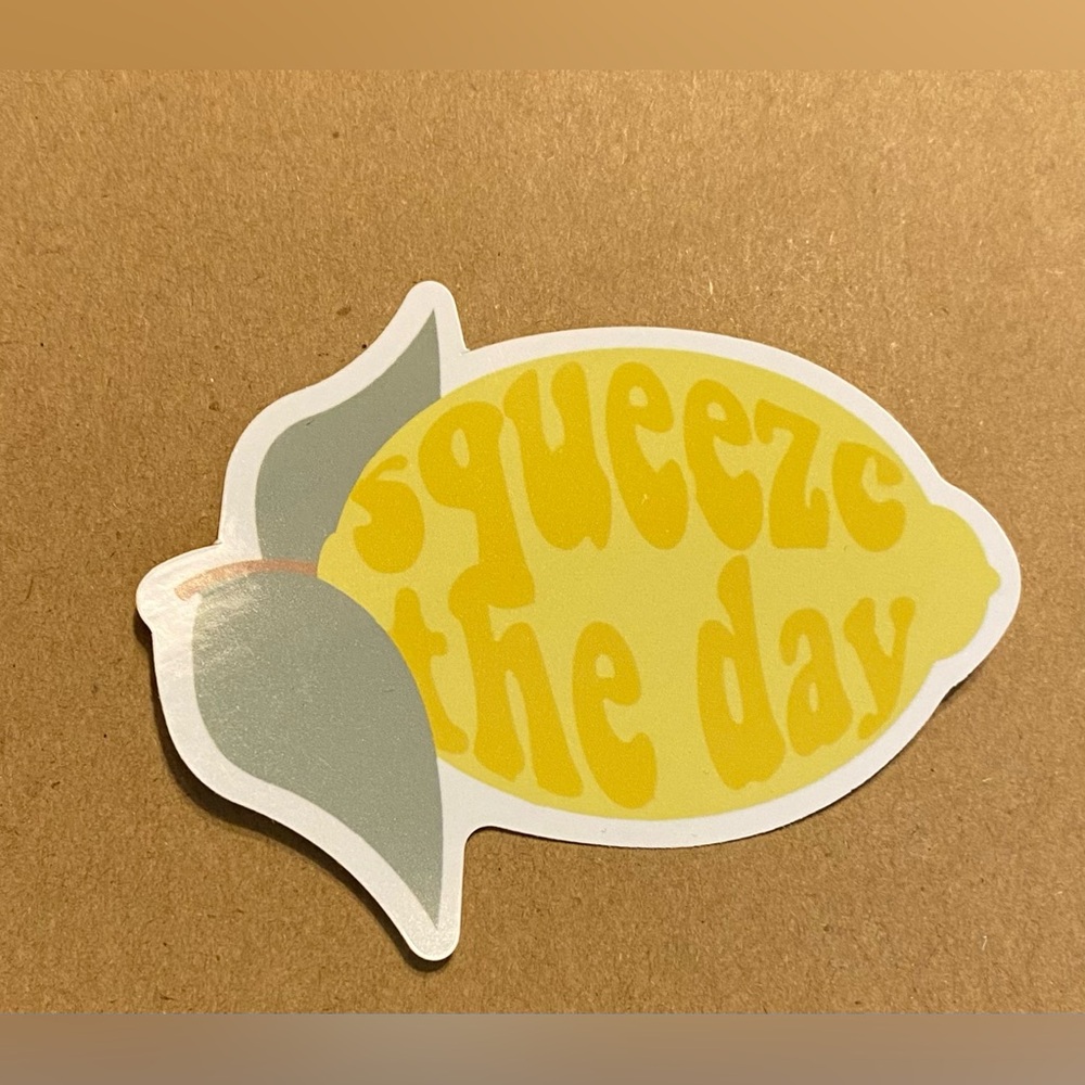 🌈20/$12🌈 Squeeze the Day Lemon Sticker